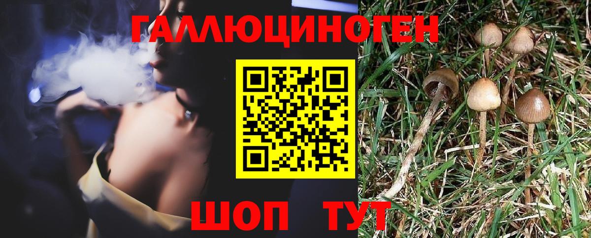 Псилоцибиновые грибы ЛСД  Вход с VPN  Джанкой  Псилоцибиновые грибы Psilocybine cubensis 